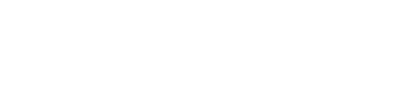 danube napkinads logotype